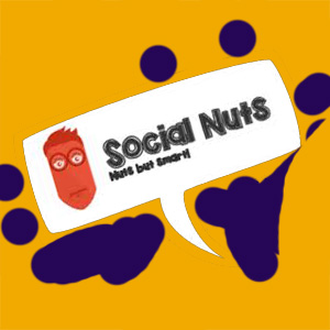 بازاریابی به سبک آژانس Nuts Social